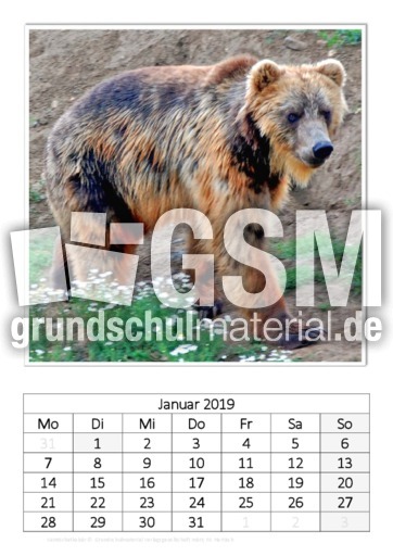 Januar_Kamtschatkabär_1.pdf